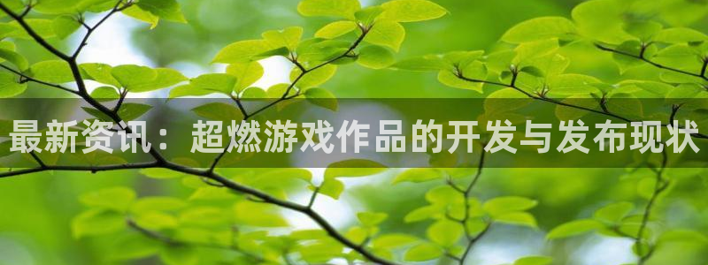 优贝娱乐Ii：最新资讯：超燃游戏作品的开发与发布现状