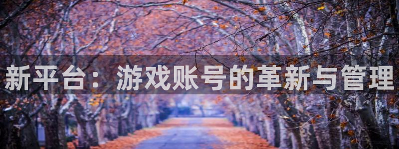 优贝娱乐代理登陆：新平台：游戏账号的革新与管理