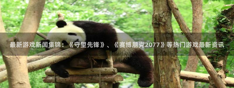 优贝娱乐开户测速：最新游戏新闻集锦：《守望先锋》、《赛博朋克