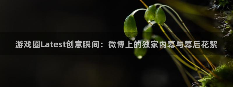 优贝娱乐在线登录：游戏圈Latest创意瞬间：微博上的独家内