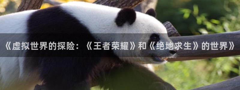 优贝娱乐Ii：《虚拟世界的探险：《王者荣耀》和《绝地求生》的