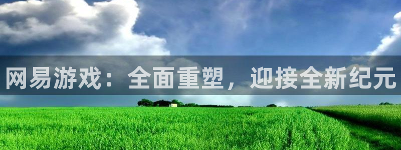 沐春优贝娱乐：网易游戏：全面重塑，迎接全新纪元