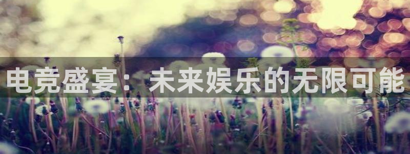 优贝娱乐注册测速：电竞盛宴：未来娱乐的无限可能